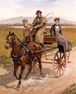Paddy Reilly (from Irish traditional song Come Back Paddy Reilly) was a jarvie in a Irish jaunting car 