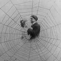 Two lovers in a tangled web we weave