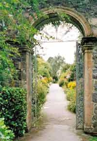 Ilnacullin Garden Copyright Peter Clarke  and licensed for reuse under this Creative Commons Licence 3.0